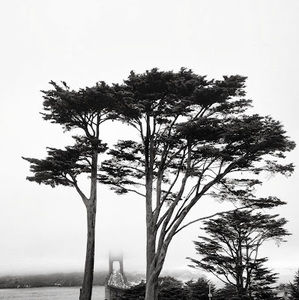 Meet your Posher, Corwin